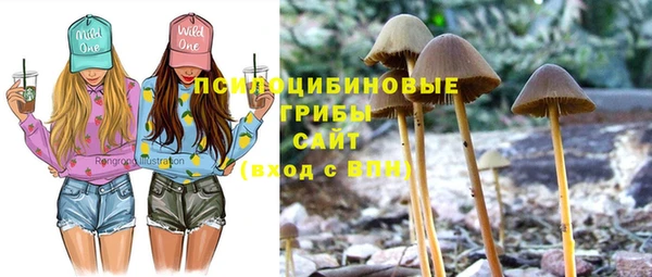 мескалин Приозерск